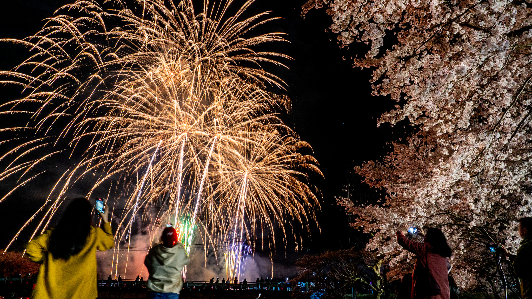 白竜湖花火inだいわ